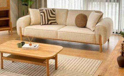 Modern Style Sofa Set - NS Sofa Furniture